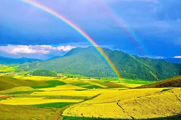 高原绿色新韵,青海绿色发展新篇章